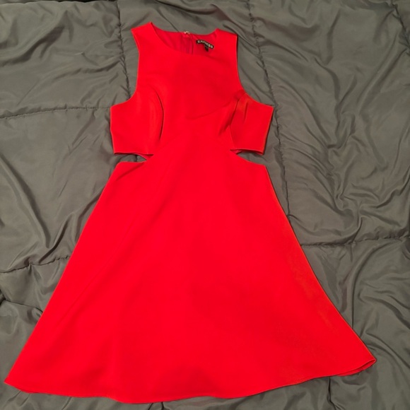 Express Red Flare Dress - Picture 1 of 3